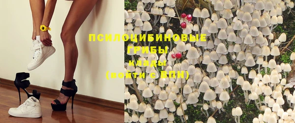 молекула духа Алексин