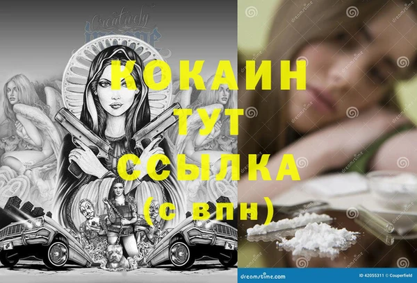 молекула духа Алексин